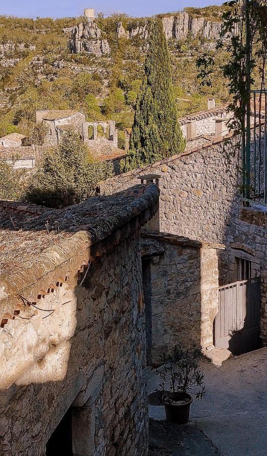 Magnifique Maison En Coeur De Balazuc, Proche Plages Ardeche エクステリア 写真